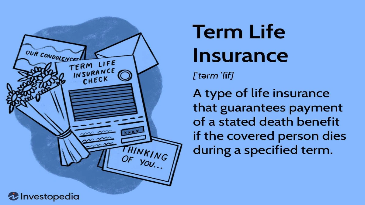 Hidden Truth | Affordable Term Life Insurance for Young Adults USA