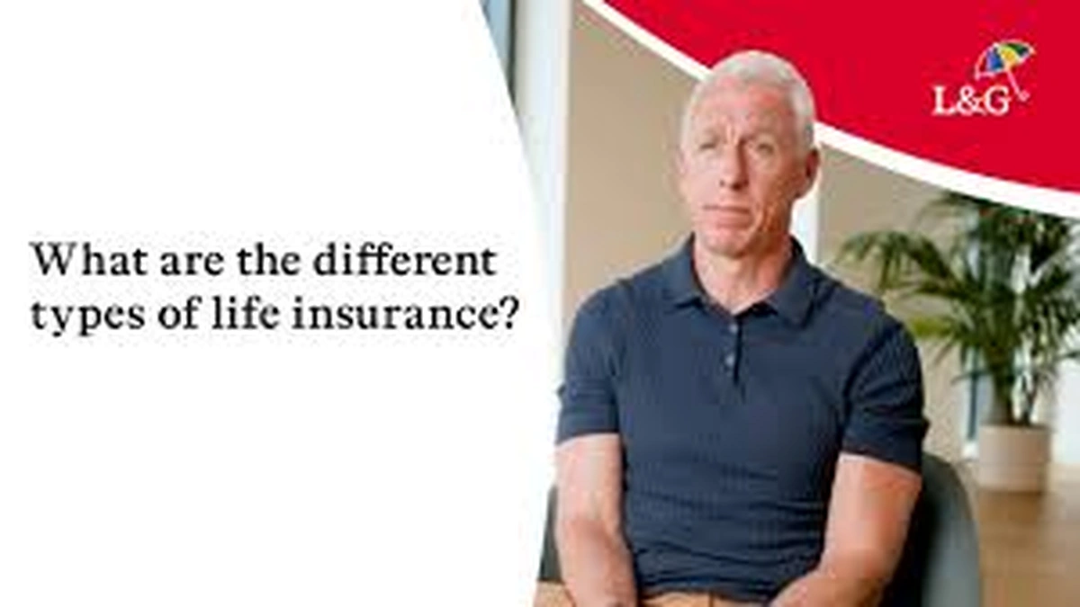 Joint vs. Single | Unpacking the Big Decision