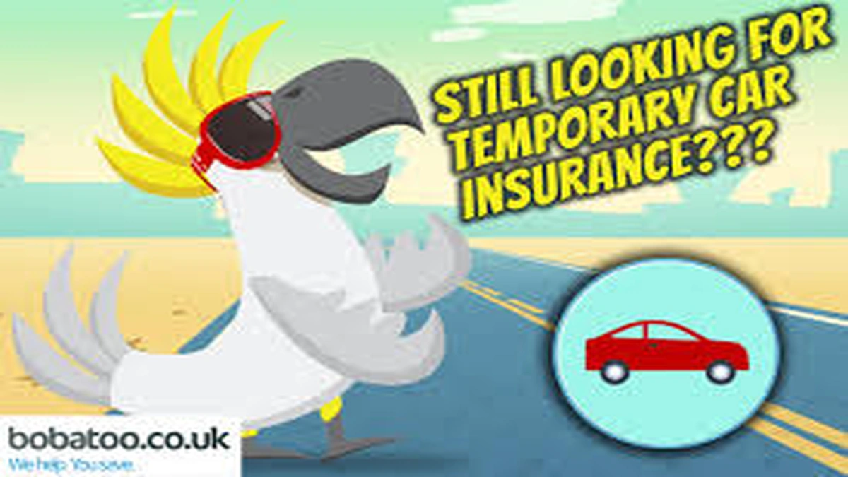 Daily Car Insurance UK | The Instant Cover You Need Now